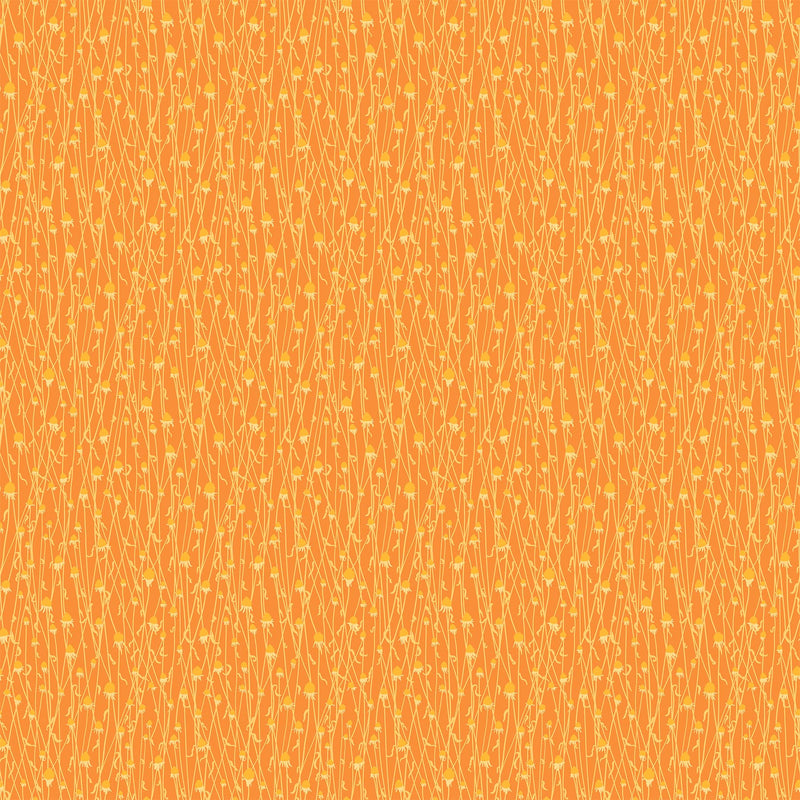 Splendor - Dry Flowers - Orange