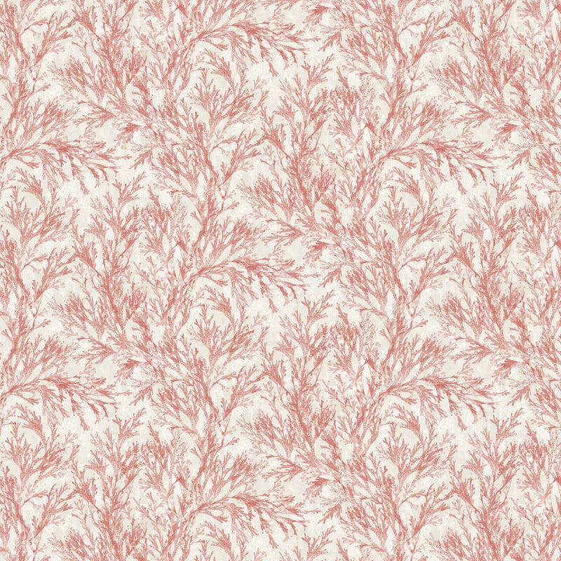 Coastal Living - Coral Reefs - Red