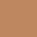 Painter's Palette Solids - Tan