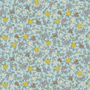 Woodland Walk - Misty Morning Nature's Garden A