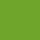 Painter's Palette Solids - Mint