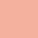 Painter's Palette Solids - Coral