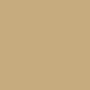 Painter's Palette Solids - Beige