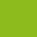 Painter's Palette Solids - Apple Green