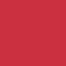 Painter's Palette Solids - Raspberry