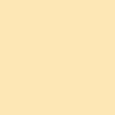 Painter's Palette Solids - Flan