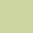 Painter's Palette Solids - Lime Mist