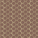 Paradise - Seaspray - Cocoa