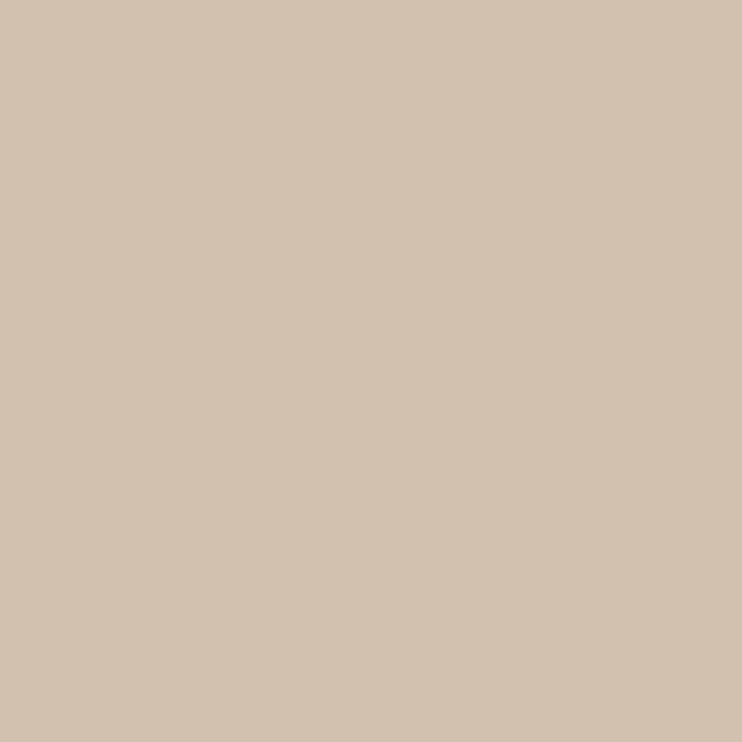 Painter's Palette Solids - Ash