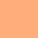 Painter's Palette Solids - Apricot