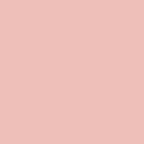 Painter's Palette Solids - Salmon