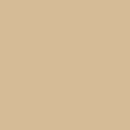 Painter's Palette Solids - Ivory