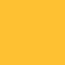 Painter's Palette Solids - Daisy
