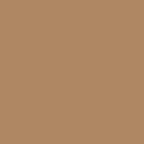 Painter's Palette Solids - Portabella