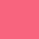 Painter's Palette Solids - Hot Pink