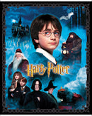 Harry Potter - Panel - Multi