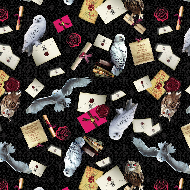 Harry Potter - Owl Postal Service - Black