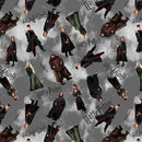 Harry Potter - Characters - Gray