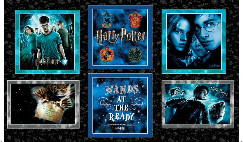 Harry Potter - Pillow Panel - Black
