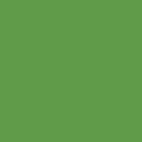 Painter's Palette Solids - Paradise