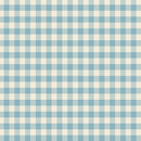 Special Delivery - Gingham - Chambray