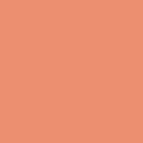 Painter's Palette Solids - Cantaloupe