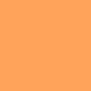 Painter's Palette Solids - Butterscotch