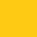 Painter's Palette Solids - Pineapple