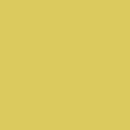 Painter's Palette Solids - Kiwi