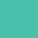 Painter's Palette Solids - Topaz