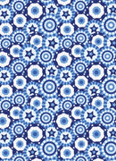 All Mid-Atlantic Shop Hop 2025 Wide - Patriotic Banner Celebration - Blue