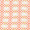 Jelly Jam - Jellies - Rhubarb