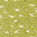 Animal Park Fun - Animal Crackers - Iguana