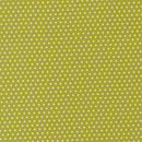 Animal Park Fun - Dotty Dot - Iguana