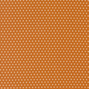 Animal Park Fun - Dotty Dot - Tiger