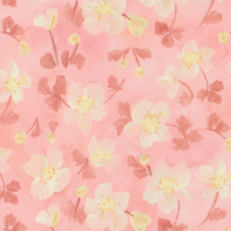 Sweet Cecily - Anemone - Rose
