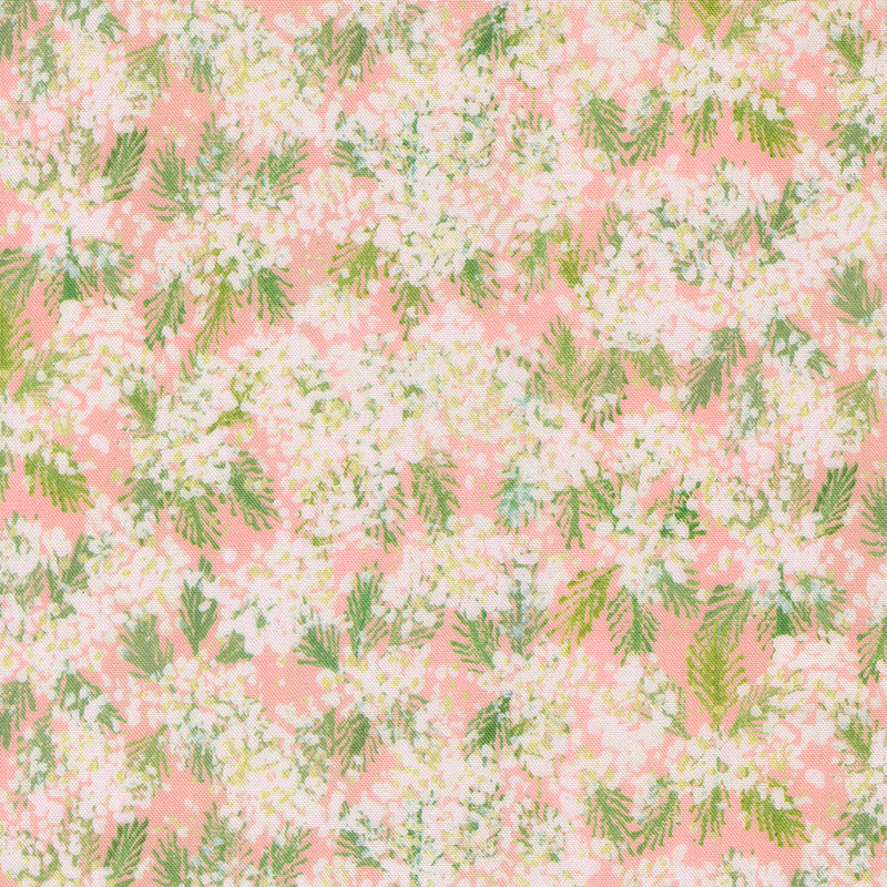 Sweet Cecily - Queen Anne - Rose