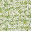 Sweet Cecily - Queen Anne - Bud