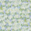 Sweet Cecily - Queen Anne - Hyacinth