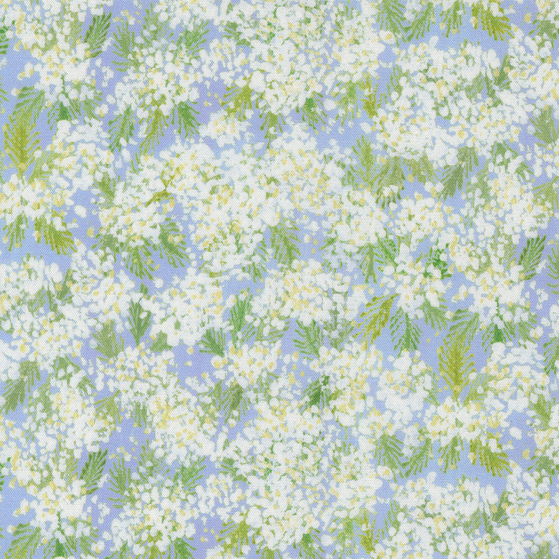Sweet Cecily - Queen Anne - Hyacinth