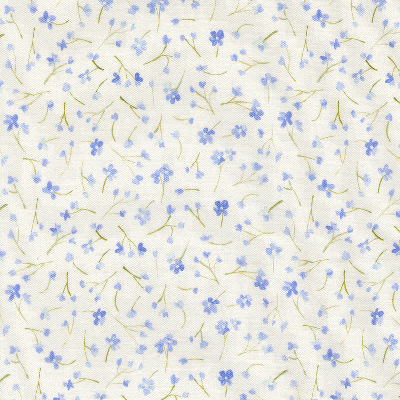 Sweet Cecily - Forget Me Not - Hyacinth