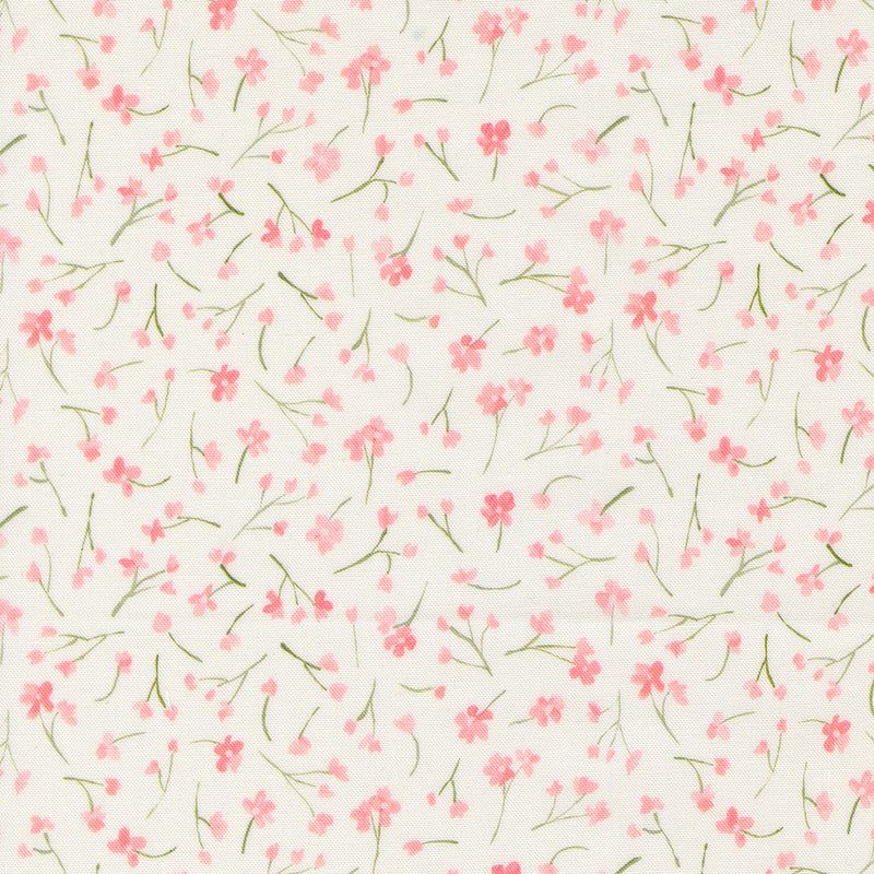 Sweet Cecily - Forget Me Not - Rose