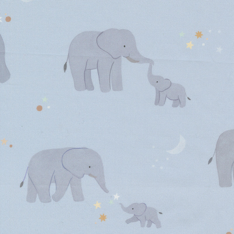 To the Moon and Back - Elephant - Sky