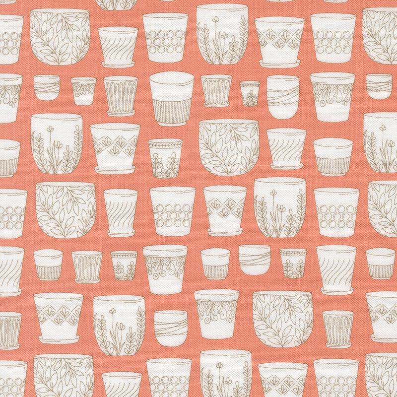 Potted - Pots - Camellia