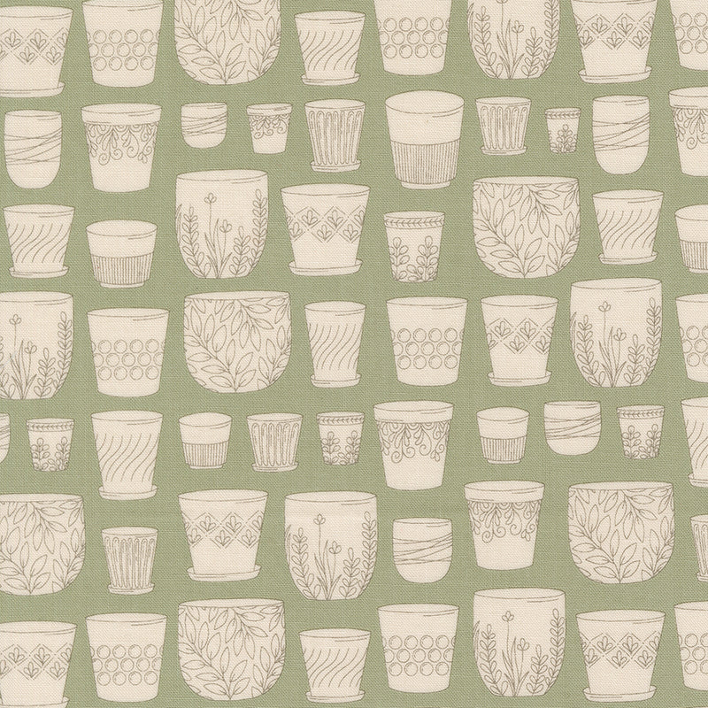 Potted - Pots - Sage