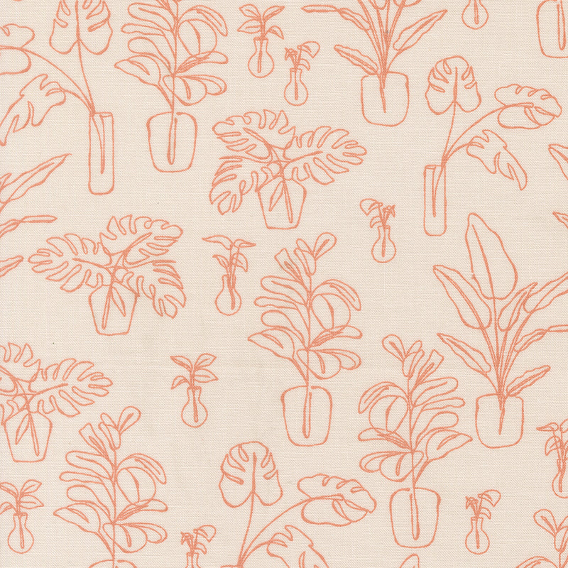 Potted - Indoor Jungle - Stone