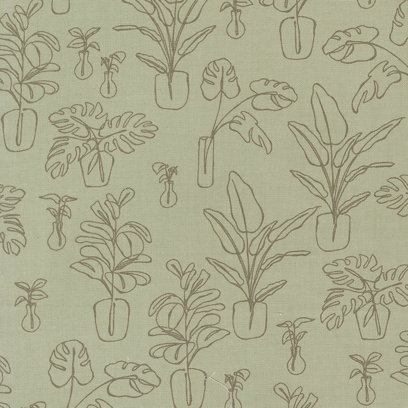 Potted - Indoor Jungle - Sage