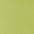 Coriander Colors - Xs - Green