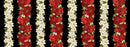 Merry Christmas - Poinsettias 11" Stripes - Black