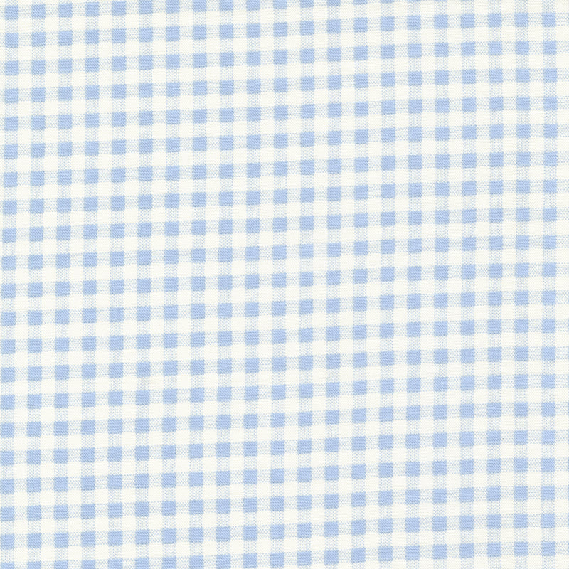 Blueberry Delight - Gingham - Sky